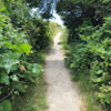 oliver_trails